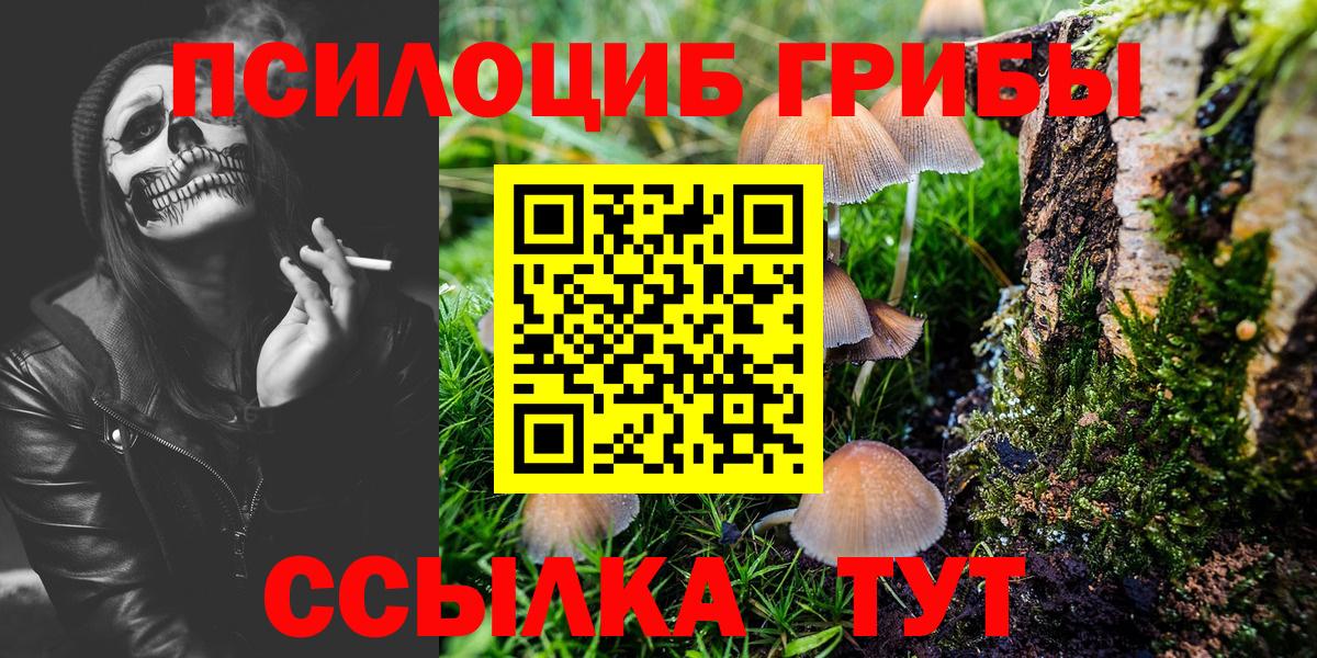 Псилоцибиновые грибы ЛСД Сергиев Посад