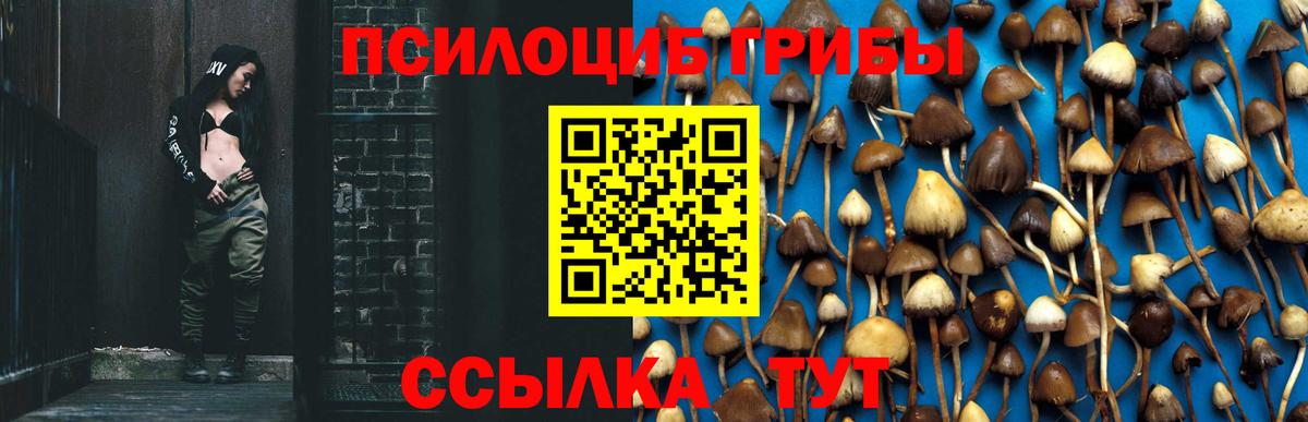 Сергиев Посад  Псилоцибиновые грибы мицелий  Вход с VPN  Псилоцибиновые грибы ЛСД 